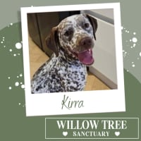 Photo of Kirra