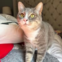 Photo of Millie