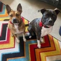 Photo of Daisy Haliwell