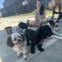 Photo of Layla And Franco