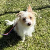 Photo of Bert (9003)