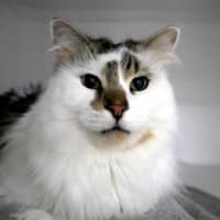 Photo of Hugo & Louie