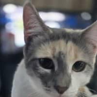 Photo of Perry