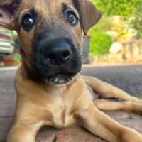 Photo of Murphy