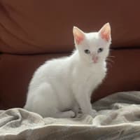 Photo of Cecilia