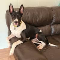 Photo of Tess