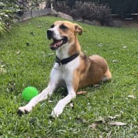 Photo of Leela