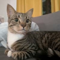 Photo of Lilo