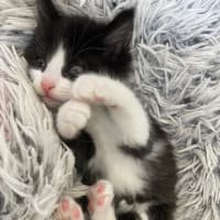 Photo of Bear Sanderson