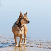 Photo of Milly Milly