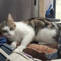 Photo of April (9172)