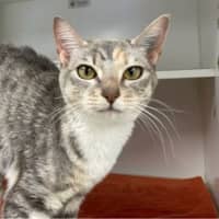 Photo of Punky