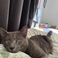 Photo of Sirius