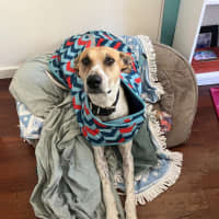 Photo of Jeena (Precious)