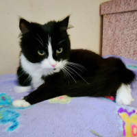 Photo of Betsy