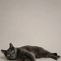 Photo of Max