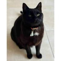 Photo of 10676   Leeroy