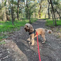 Photo of Winston Quinell