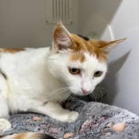 Photo of 🎪 Talulah 6700 🎪