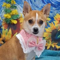 Photo of Gretel