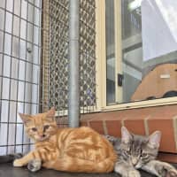 Photo of Autumn! 🍁