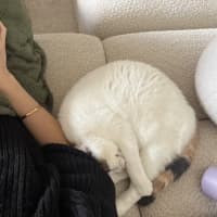 Photo of Your Little Puss?