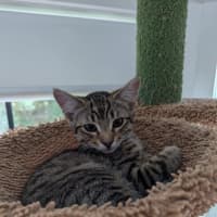 Photo of George 