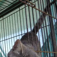 Photo of Brooke And Bruce