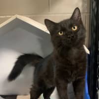 Photo of Marley Zane