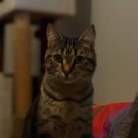 Photo of Charlie 