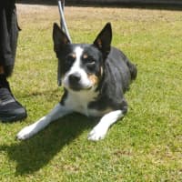 Photo of Tia