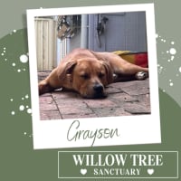 Photo of Grayson