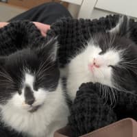 Photo of Mickey And Minnie