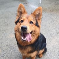 Photo of Pippi