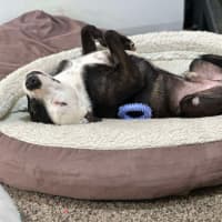 Photo of Sammy