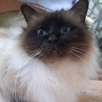 Photo of Kenny Rogers