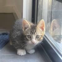 Photo of Blue