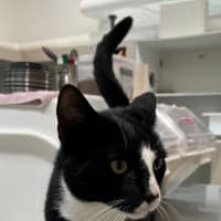 Photo of Charlie (9121)