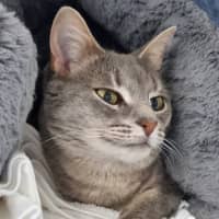 Photo of Tia
