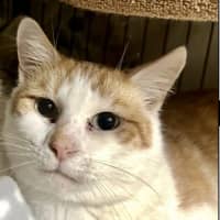 Photo of Aladdin And Jasmine