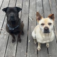 Photo of Mister And Kaydo