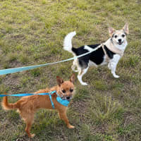 Photo of Barnaby & Rani