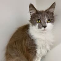 Photo of Elroy