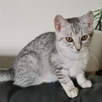 Photo of Osha & Rosemary