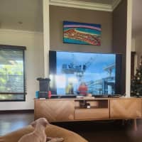 Photo of Koko Licious