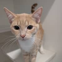 Photo of Frodo