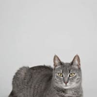 Photo of Tammy