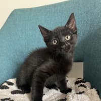Photo of Tumtum