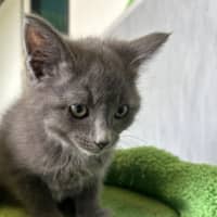 Photo of Bubba Bruce
