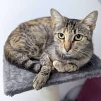 Photo of Lulu